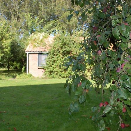 Vita Nova Hippolytushoef Luaran gambar