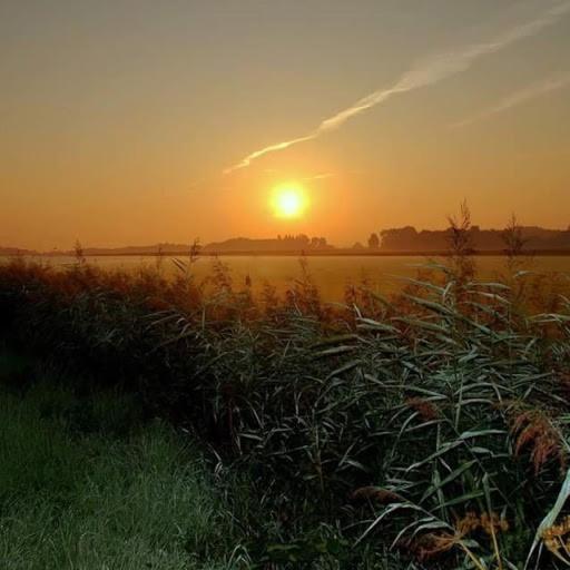 Vita Nova Hippolytushoef Luaran gambar